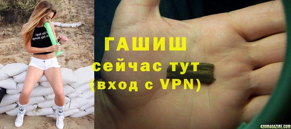 амф Снежногорск