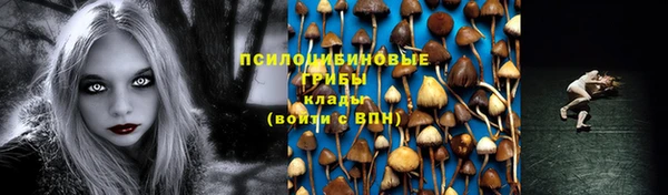 прущий лед Алзамай