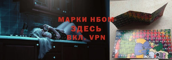 прущий лед Алзамай