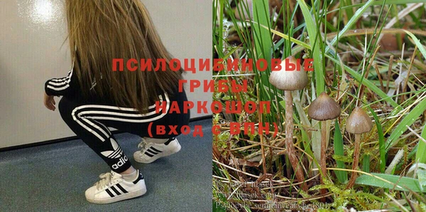 прущий лед Алзамай