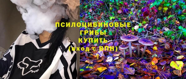 прущий лед Алзамай