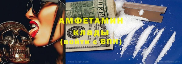 мет Алексин