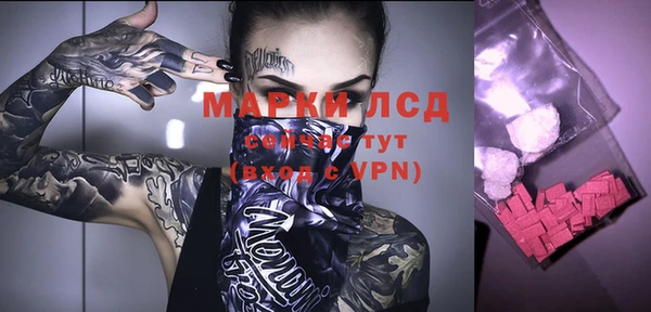 прущий лед Алзамай