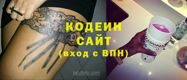 прущий лед Алзамай